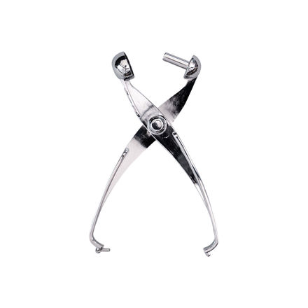 Picture of CHERRY & OLIVE PITTER STAINLESS STEEL