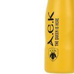 Picture of INSULATED BOTTLE TRAVEL FLASK AEK BC BASKETBALL EDITION 500ml 